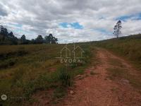 Sítio Monte Sião - Grama Roxa