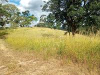 Sítio Monte Sião - Grama Roxa