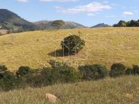 Sítio Monte Sião - Coqueiral