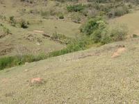 Chácara em Monte Sião