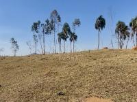 Sítio em Monte Sião