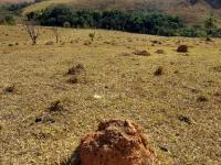 Sítio em Monte Sião