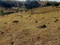 Sítio em Monte Sião