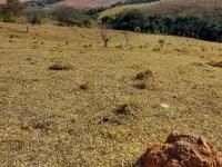 Sítio em Monte Sião