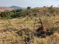 Sítio em Monte Sião