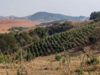 Sítio em Monte Sião