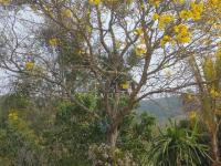 Chácara em Monte Sião