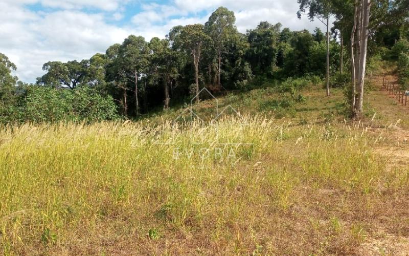 Sítio Monte Sião - Grama Roxa