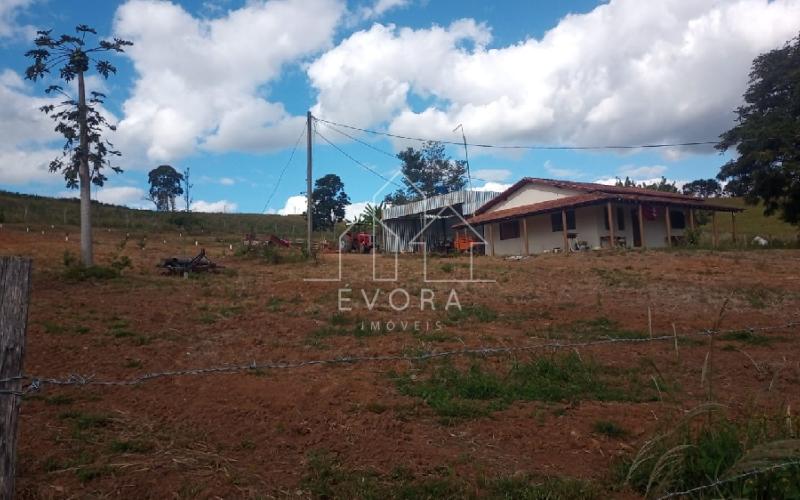 Sítio Monte Sião - Grama Roxa