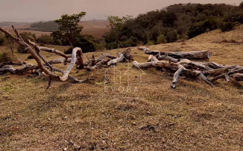 Sítio em Monte Sião