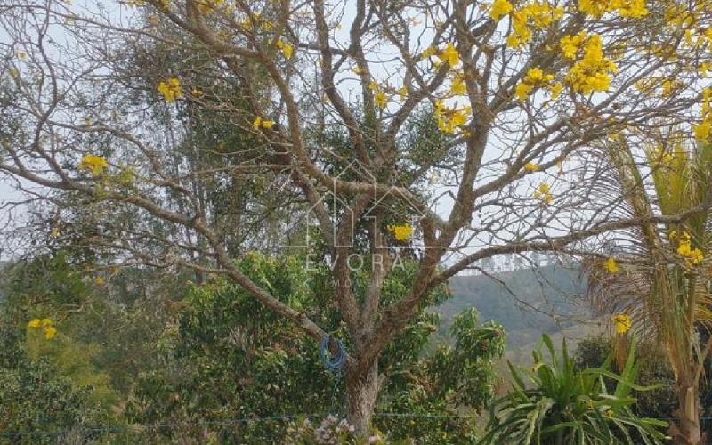 Chácara em Monte Sião