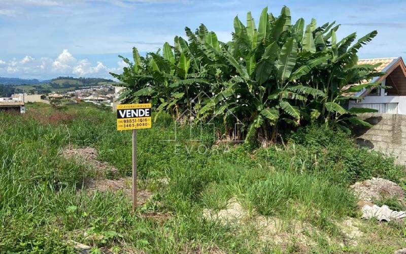 Lote Monte Sião