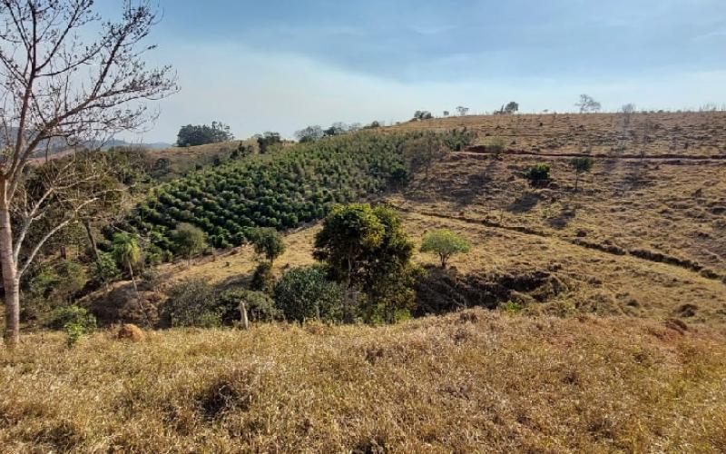 Sítio em Monte Sião